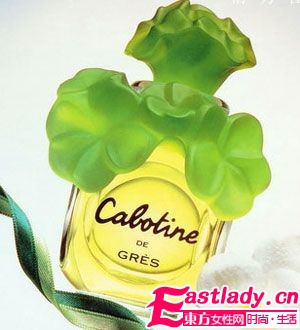 滋养抗老 护颈首选檀香精油