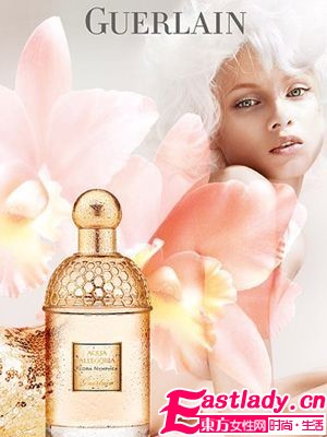 绿野仙踪 10款格调香氛清新于心