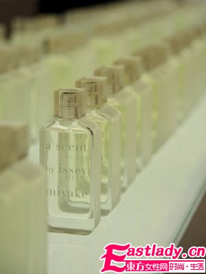 绿野仙踪 10款格调香氛清新于心