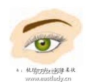 睫毛膏的正确使用方法