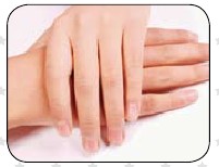 正确修甲美甲七步骤 剪出合适满意甲形