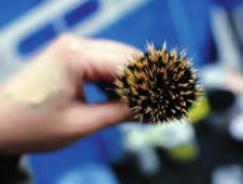 粉底刷快速上粉底步骤图解