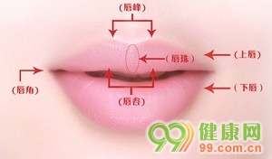 图 标准漂亮的嘴唇长什么样