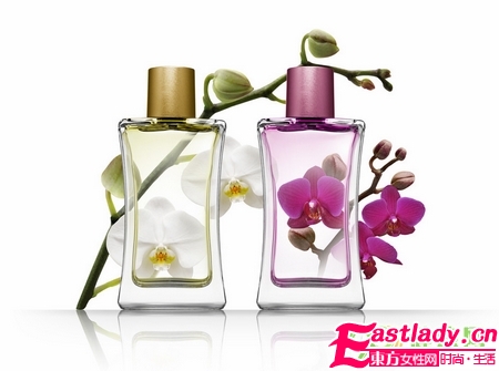 闻香识女人 不同血型的女人适合的香水