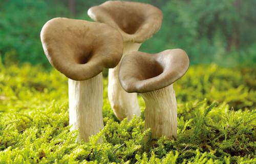 如何去疤痕 让皮肤重获新生