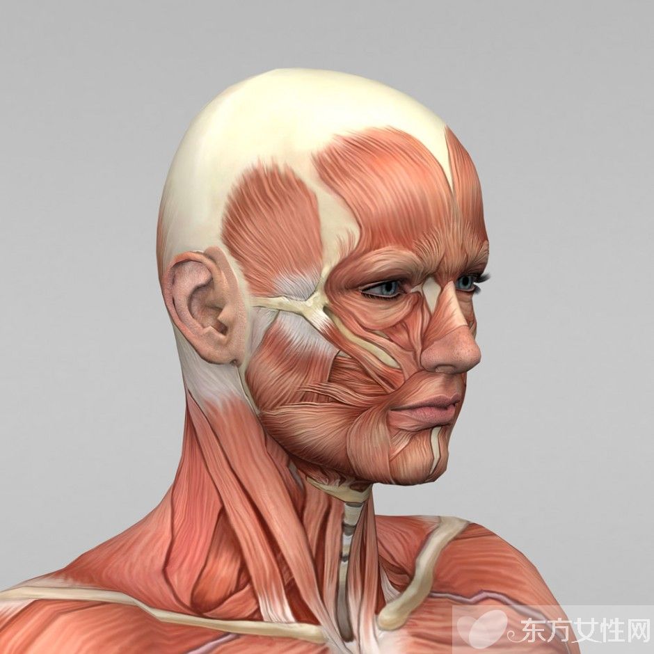 脸部皮肤松弛怎么办 5方法让皮肤更有弹性