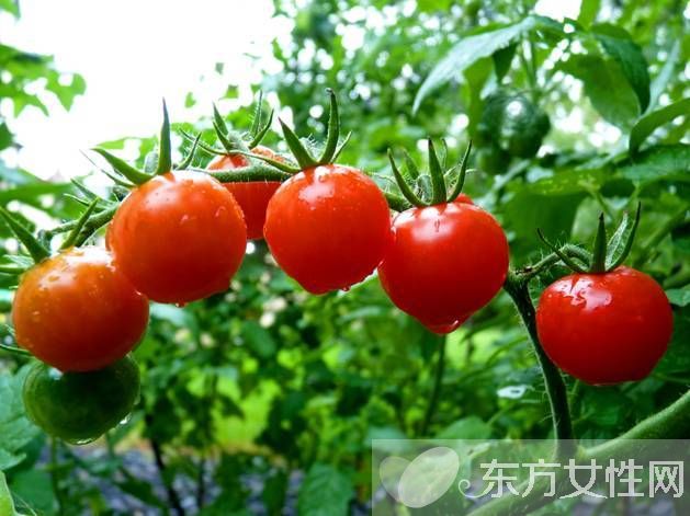 女性如何去皱纹 经常吃这些能消除皱纹