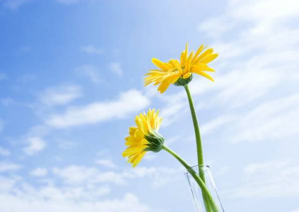 揭增生性疤痕形成原因 五个方法综合治疗