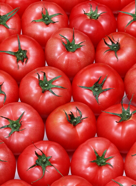 干性皮肤怎么保养 夏季干性皮肤怎样美白