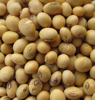 女人吃什么美容 女人专属的美容护肤食物