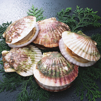 护肤常识 肌肤想要娇嫩无暇需远离5种食物