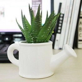 芦荟胶的功效与作用 天然芦荟护肤5大功效