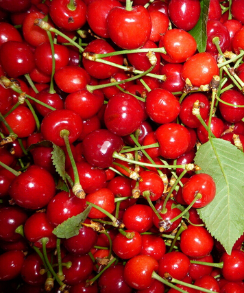 抗皱紧肤 助女人排毒抗皱的8种水果