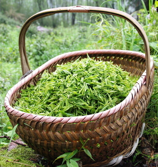 天然护肤 茶叶美容护肤的功效