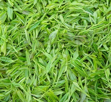 茶叶天然护肤品 用茶叶水洗脸的功效多