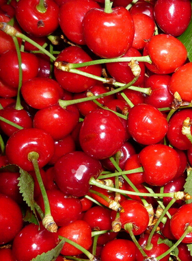 吃什么水果对皮肤好 春季8种美白护肤水果