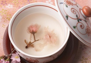 花茶的功效与作用 各类花茶的功效大全