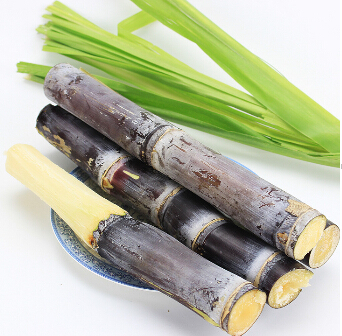 消暑解热4款食材 清热润肺泻火养心