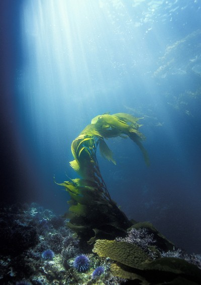 抗衰老最好的方法 轻松对抗衰老