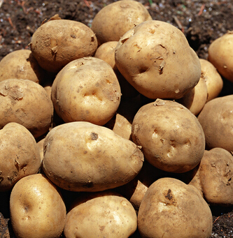 吃什么美白 常吃七种蔬菜帮助皮肤自然美白