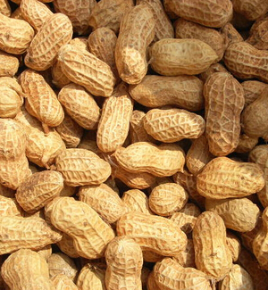 吃什么可以祛斑养颜 吃对食物祛斑养颜