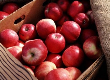 水果的功效与作用 10种食物媲美顶级护肤品