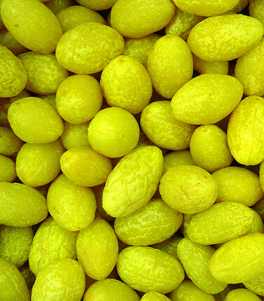 抗皱紧肤 助女人排毒抗皱的8种水果