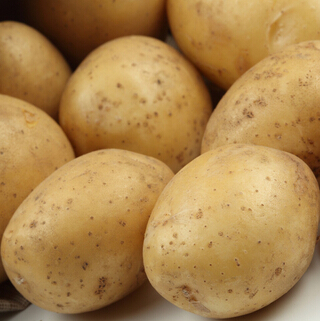 土豆的功效与作用 女人美容瘦身的选择