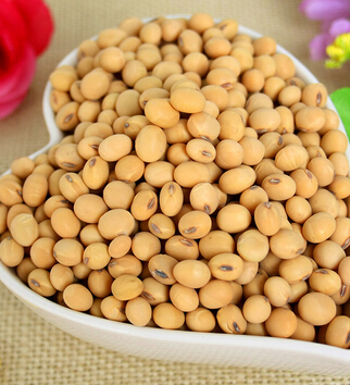 美容养颜的食物 10种最佳美容养颜食物