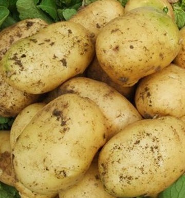 常吃七种蔬菜帮助皮肤自然美白