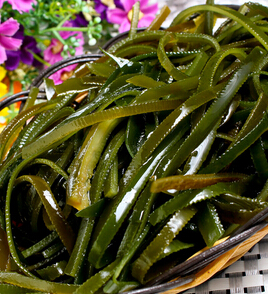 美白抗衰老 抗衰老的美容护肤方法