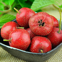 吃什么美容养颜  难吃 食物大盘点