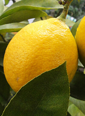 如何美白肌肤 夏季美白肌肤的方法