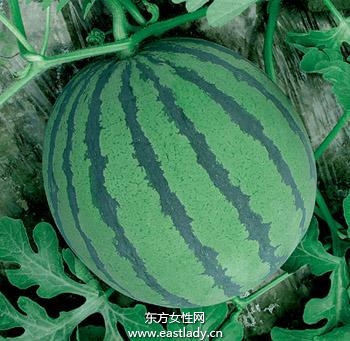 西瓜防晒补水好帮手