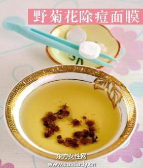 自制野菊花除痘面膜 解毒消炎作用强