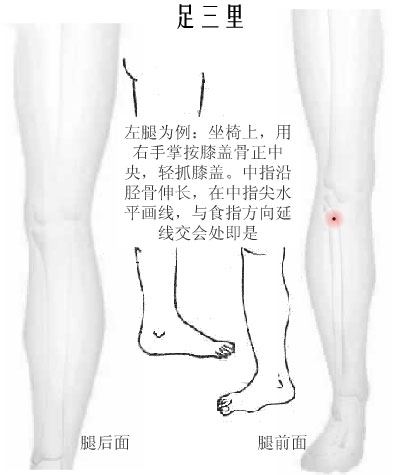 中医针刺 五大要穴起保健作用