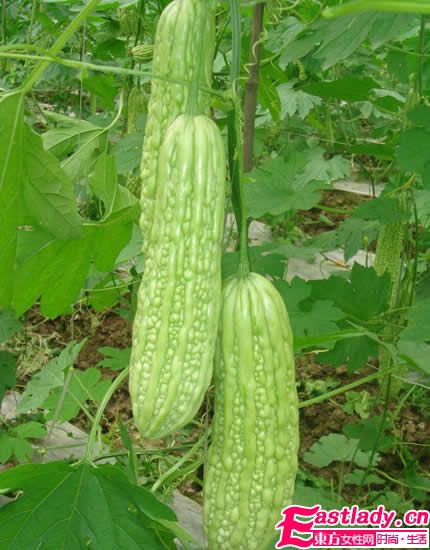 女人吃什么可以皮肤白皙 5种食物美白不烦恼