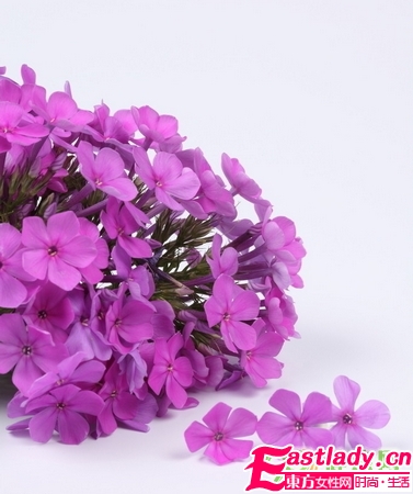 吃什么可以吃出体香 8种食物