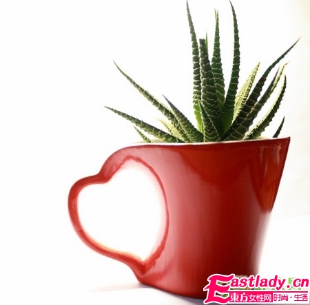 混合性肌肤适合哪种精油