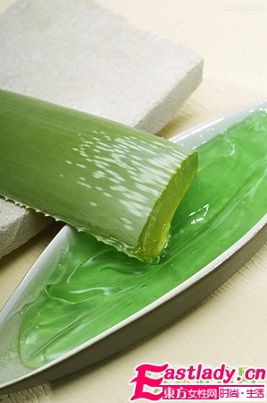 芦荟美容 美白祛斑祛痘护唇