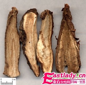 7种中药美白祛斑有奇效  无副作用