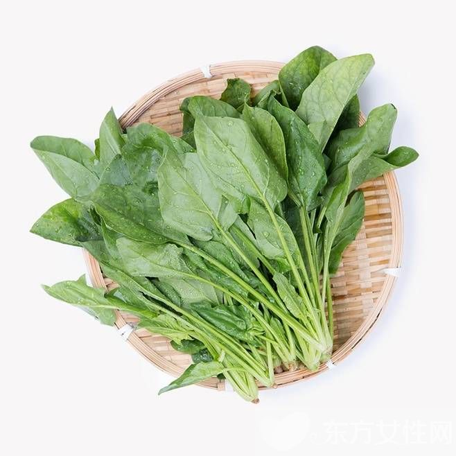 菠菜的营养价值 要怎么挑选新鲜的菠菜