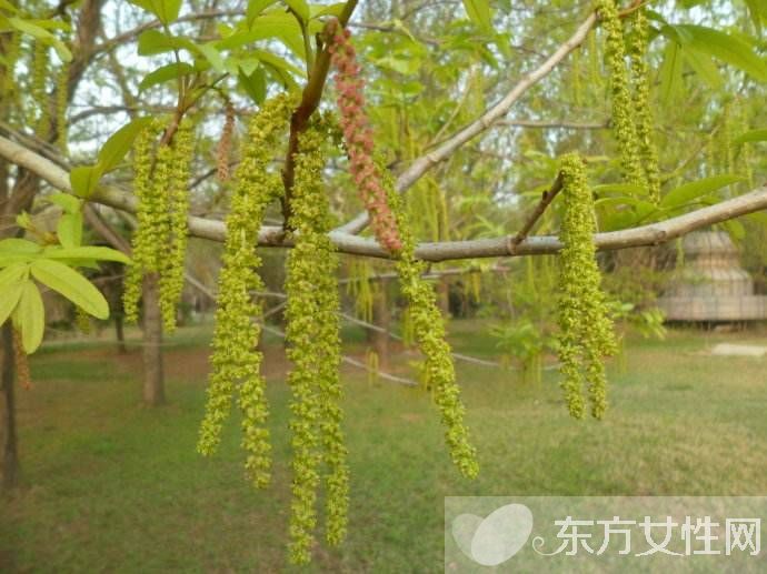 胃胀气怎么办 9个办法让你快速排气很轻松