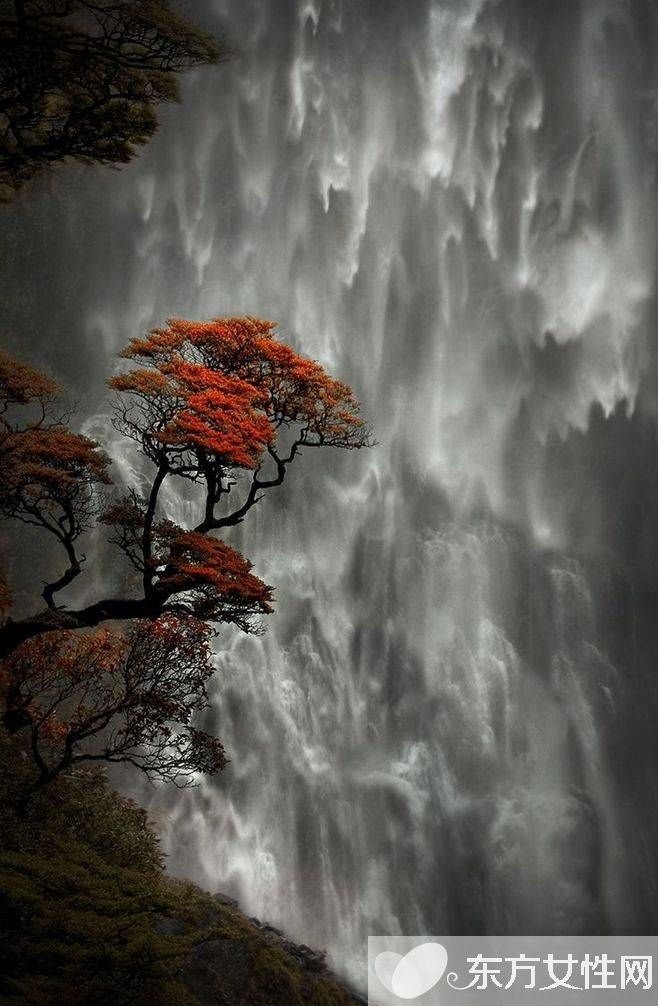 春季养肝食谱 多吃这些让你健康一整年