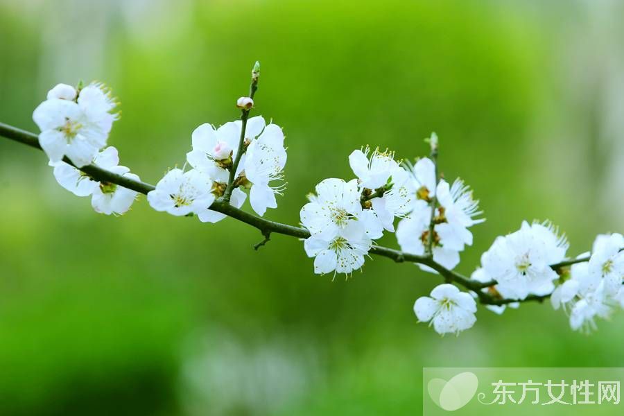 春困怎么办 学会这些小妙招完胜春困