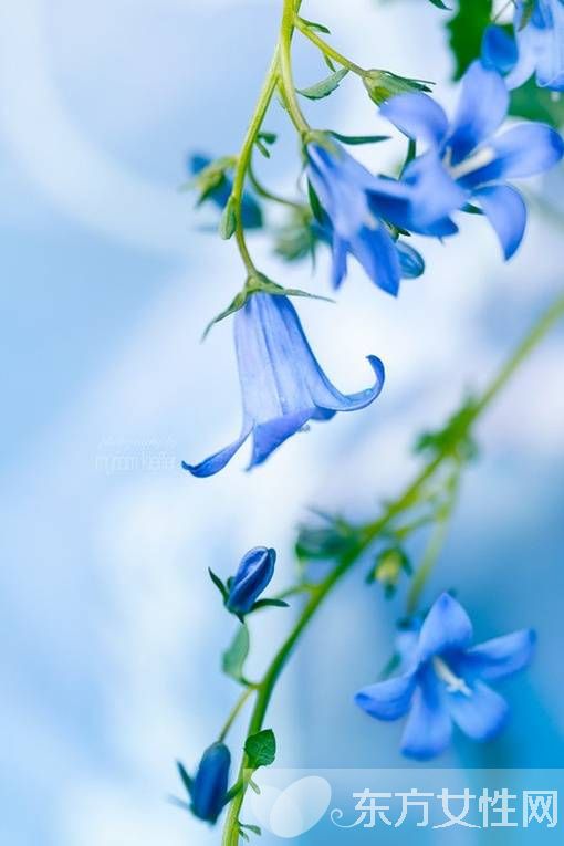 胆结石早期的症状 胆结石又是什么原因导致