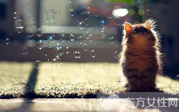 经常熬夜吃什么好 什么食物才能缓解眼疲劳