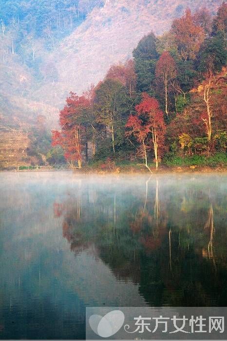 肾结石饮食要注意哪些 手术后的保养方法