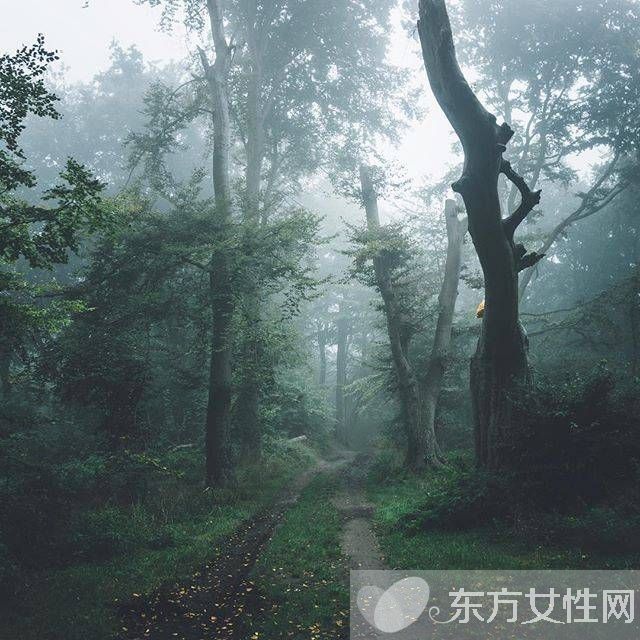 春季润燥吃什么好 5种食物让你降火润燥养生