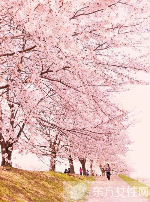 饭后百步走真的科学吗 当心这些危害害了你